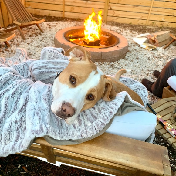 TB says make an offer!!! - Picture 3 of 5